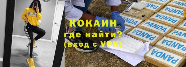 стаф Аркадак